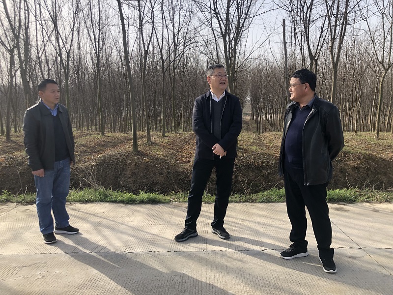 qq图片20220309163857.jpg qq图片20220309163857.jpg